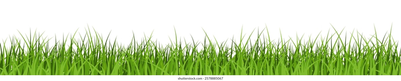 Green grass border, lawn banner, meadow background