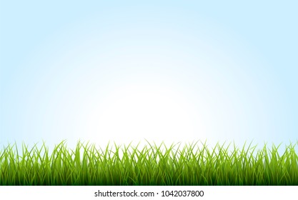 Green Grass Border on blue background