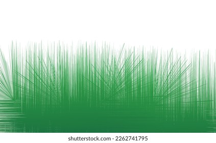 Grüne Grasgrenze auf isoliertem weißem Hintergrund Vektorgrafik
