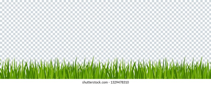 Green grass border on transparent background. Template, landscape for summer cards for birthday and holidays. Flat vector cartoon illustration.