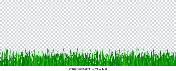 Green Grass Border On Transparent Background. Template, Landscape For Summer Cards For Birthday And Holidays. Flat Vector Cartoon Illustration.