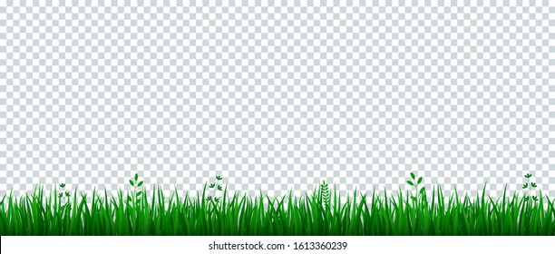 背景透過 草 の画像 写真素材 ベクター画像 Shutterstock