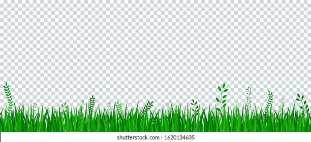 Green grass border on transparent background. Template, landscape for summer, birthday or holiday card. Eco poster. Herbal medicines, natural products, healthy food. Flat vector cartoon illustration.