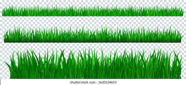 Green grass border on transparent background. Template, landscape for summer, birthday or holiday card. Eco poster. Herbal medicines, natural products, healthy food. Flat vector cartoon illustration.