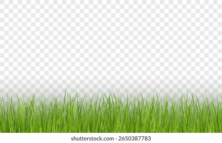 Green Grass Border on Transparent Background. Realistic Seamless Lawn, Nature Border, Vector Illustration
