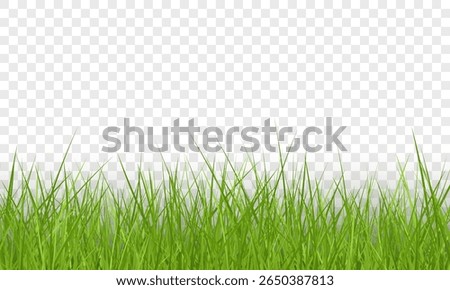Green Grass Border on Transparent Background. Realistic Seamless Lawn, Nature Border, Vector Illustration