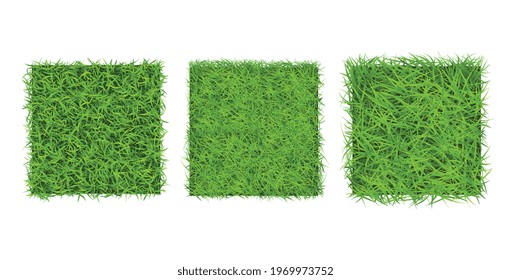 Green grass border on white background, top view. Background square texture of ground surface with green grass. 