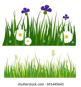 Green grass border plant lawn nature meadow ecology summer gardening vector illustration