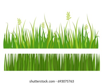 Green grass border plant lawn nature meadow ecology summer gardening vector illustration