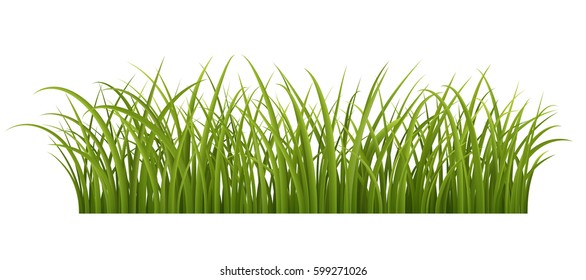 Green grass border, realistic vector illustration of green grass, EPS 10 contains transparency.