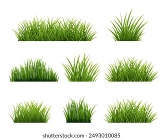 Green Grass Border Set And Isolated White Background , Vector Illustration