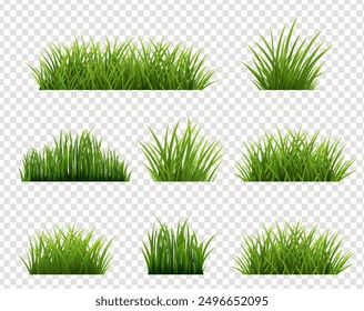 Green Grass Border Set And Isolated Transparent Background , Vector Illustration