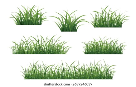 Conjunto de borde de hierba verde aislado blanco con malla degradada, Ilustración vectorial
