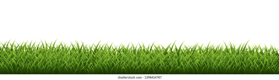 Green grass border set on white background. Vector Illustration.