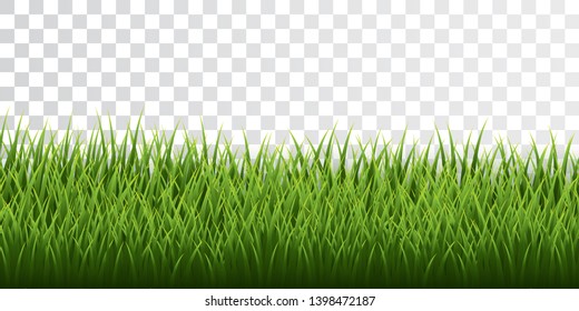 Green grass border set on transparent background. Vector Illustration.