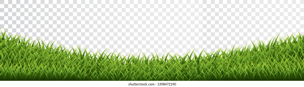 Green grass border set on transparent background. Vector Illustration.