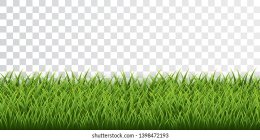 Green grass border set on transparent background. Vector Illustration.