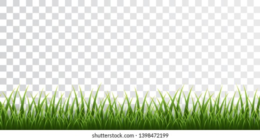 Green grass border set on transparent background. Vector Illustration.
