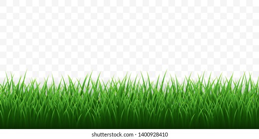 Green grass border set on transparent background. Vector Illustration.