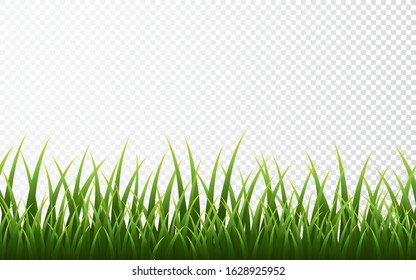 Green grass border set on transparent background. Vector Illustration.