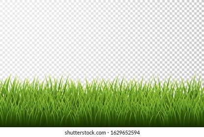 Green grass border set on transparent background. Vector Illustration.