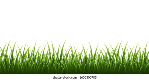 Green grass border set on white background. Vector Illustration.