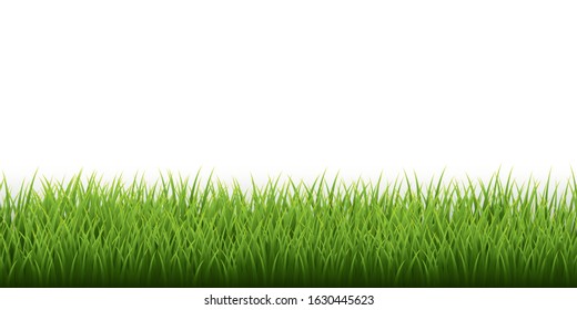 Green grass border set on white background. Vector Illustration.