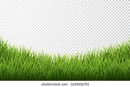 Green grass border set on transparent background. Vector Illustration.