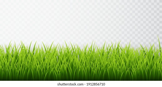 Green grass border set on transparent background. Vector Illustration.