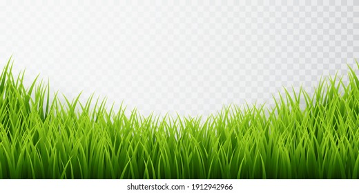 Green grass border set on transparent background. Vector Illustration.