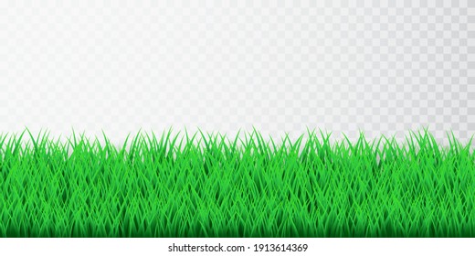 Green grass border set on transparent background. Vector Illustration.