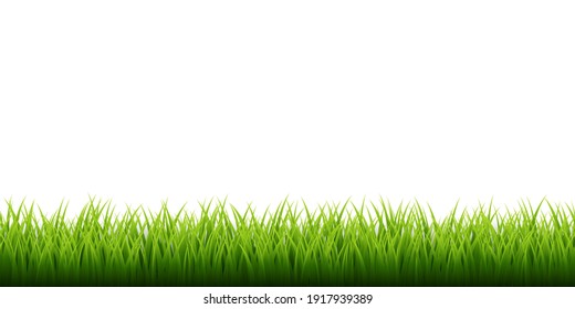 Green grass border set on white background. Vector Illustration.