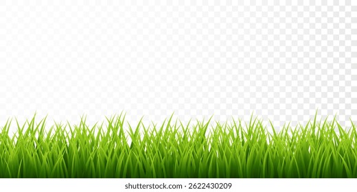 Green grass border set on transparent background. Vector Illustration.