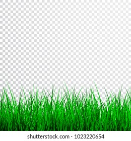 Green Grass Border Set, Vector Illustration.