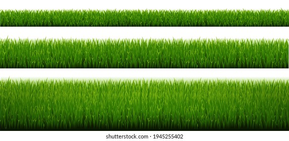 Borde De Grasa Verde Fijado Con Fondo Blanco Con Malla De Gradiente, Ilustración Vectorial
