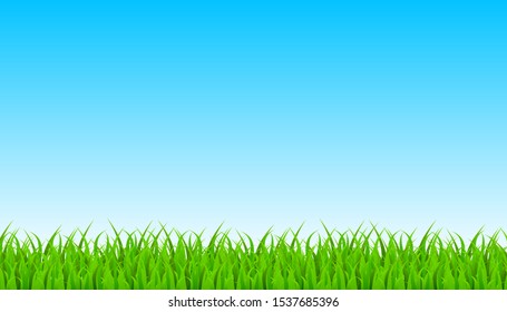 Green Grass Border Sky Vector Illustration Stock Vector (Royalty Free ...