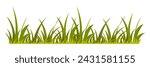 Green Grass Border. Spring Fresh Grasses Design. Nature Landscape Element. Vector Illustration in Cartoon Style.