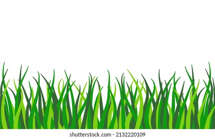 Green grass border. Spring and summer plant, field, lawn, meadow. Vector illustration