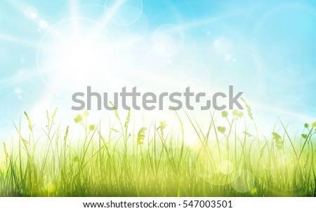Green grass border with spring sun and blue sky. Light effects and blurred light dots  give it a dreamy and soft feeling for the spring, easter season.