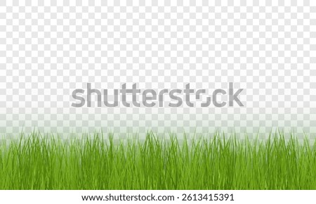 Green grass border with sun glare on transparent background. Lush lawn, meadow elements, and eco-friendly design for nature, gardening, or floral concepts. Vector grass PNG illustration.