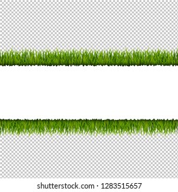 Green Grass Border Transparent Background , Vector Illustration
