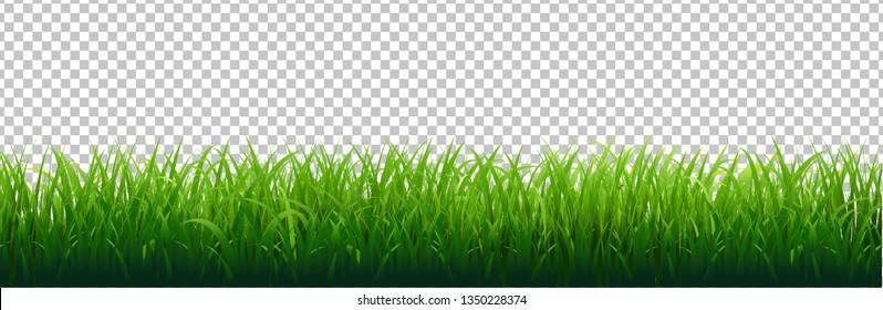 Green Grass Border Transparent Background, Vector Illustration
