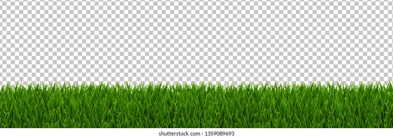 Green Grass Border Transparent Background With Gradient Mesh, Vector Illustration
