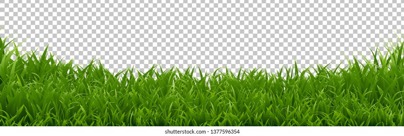 Green Grass Border Transparent Background, Vector Illustration