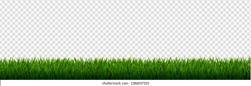 Green Grass Border Transparent Background With Gradient Mesh, Vector Illustration
