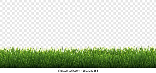 Green Grass Border Transparent Background, Vector Illustration