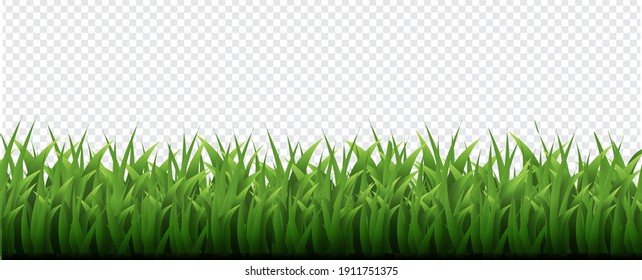 Green Grass Border Transparent Background, Vector Illustration