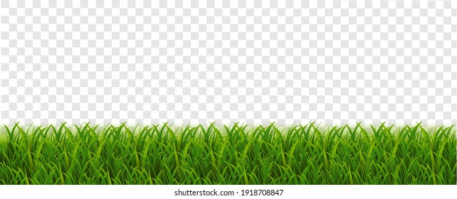 Green Grass Border With Transparent Background, Vector Illustration