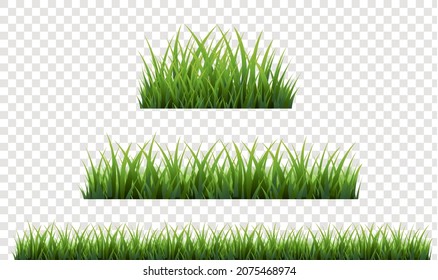 Borde de Grasa Verde Con Fondo Transparente, Ilustración Vectorial
