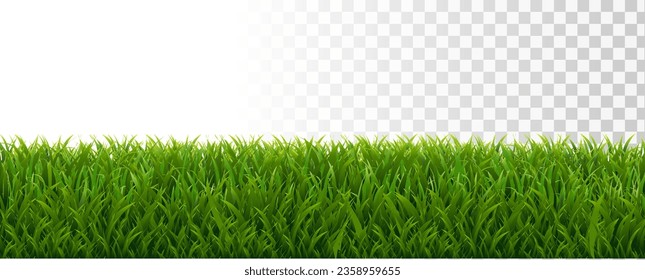 Borde De Grasa Verde Con Fondo Transparente Con Malla De Gradiente, Ilustración Vectorial